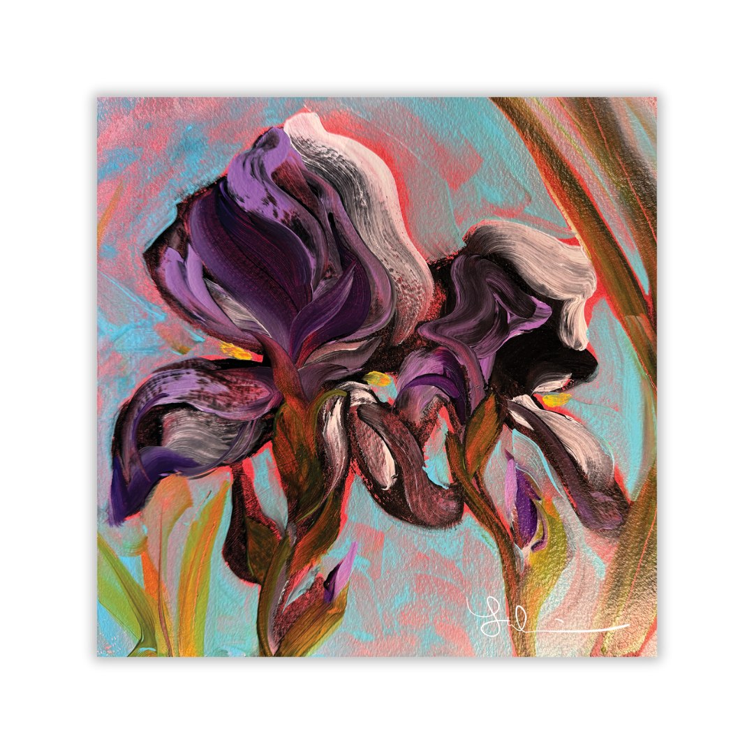 Iris II • Framed or Unframed Canvas