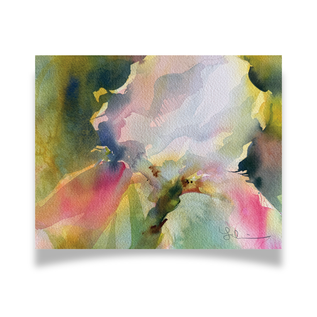 Iris • Framed or Unframed