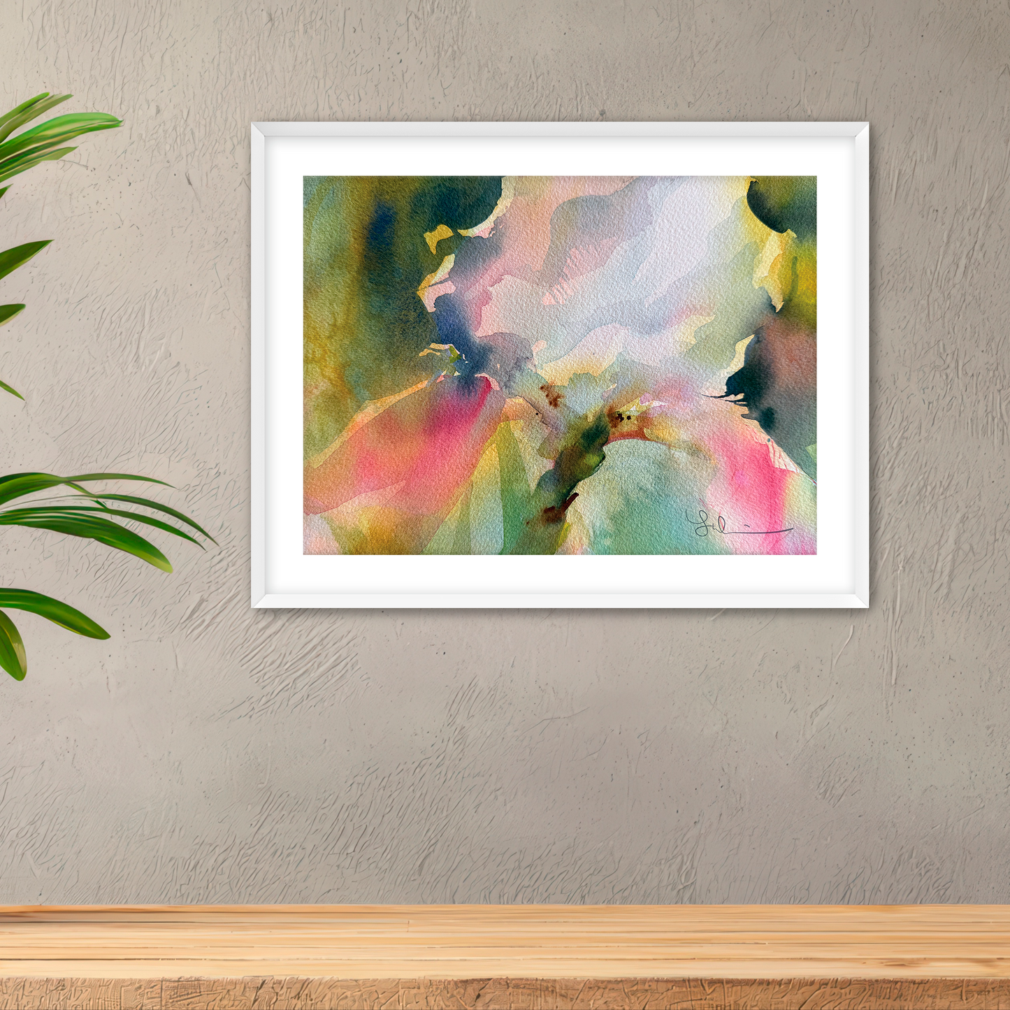 Iris • Framed or Unframed
